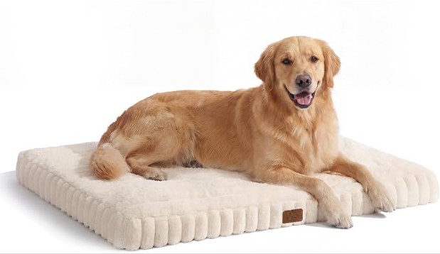 DOPEDIO Dog Bed Cream White L 91 * 69 * 7.5cm With Washable Cover